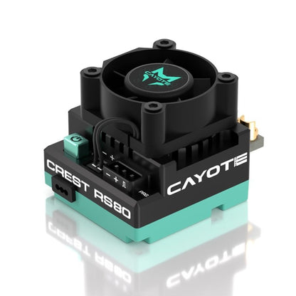 CREST RS80 Regolatore Brushless Stock sensorizzato – CAYOTE per 1/10