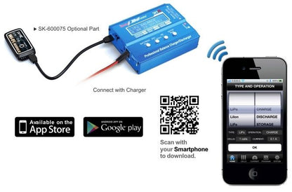 SkyRC B6 Mini Charger 60W 6A 1-6S 12VDC - SK-100084-02 - RCXX - RC Racing Shop | RC Models | Tuning & Spare Parts for Professionals